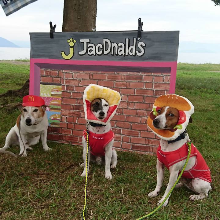 E7e3c7b0 c104 4621 b0b9 c36f1cf58cab 1567328264778