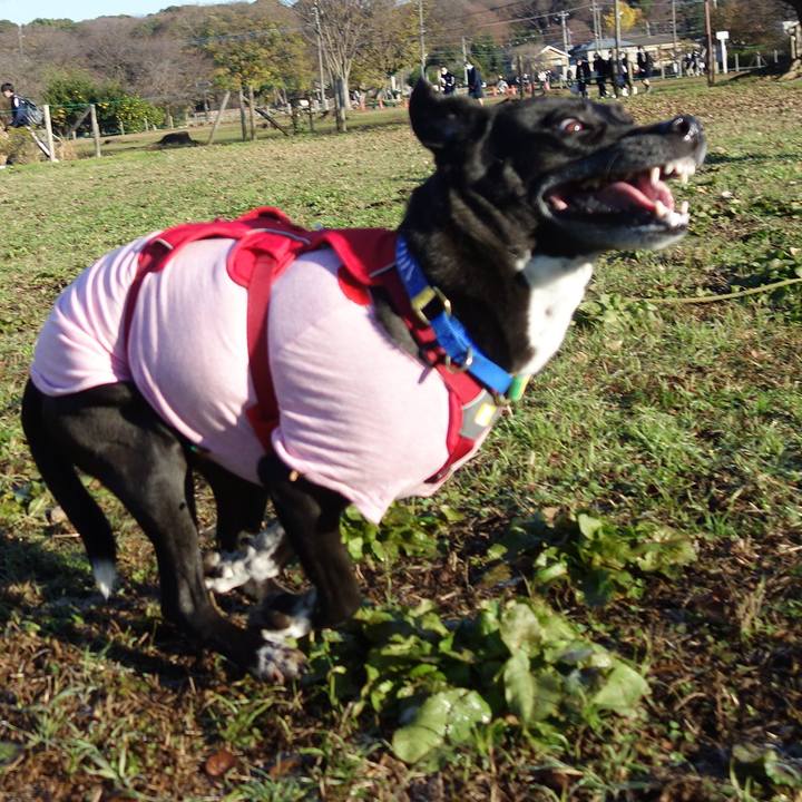 E7e3cb5f 9eab 4cc4 8048 630dd618dd30 1670463727119