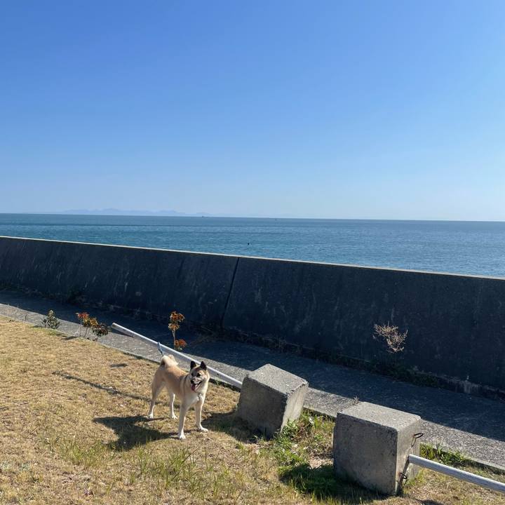 E7e3da09 96ad 4a1c b237 493a47b3bdf6 1650108162309