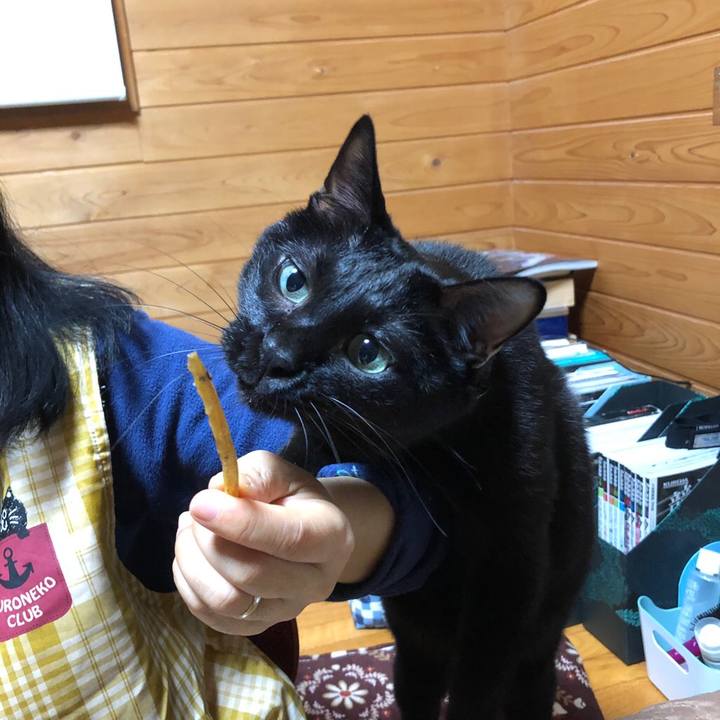 E7e412c3 e7d4 42bb 932d f89f6277d682 1547551840902