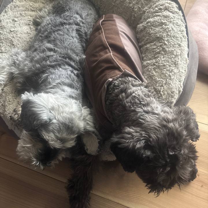 E7e42079 d681 44a7 8b9f 11ed05d3edd4 1739422301176