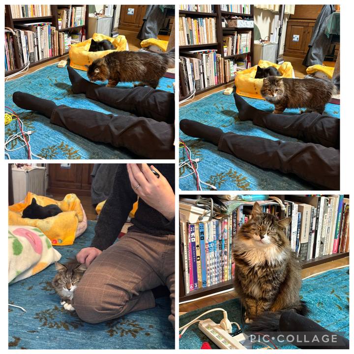 E7e4562a 3828 43cc 8557 74c3982de976 1767503488529