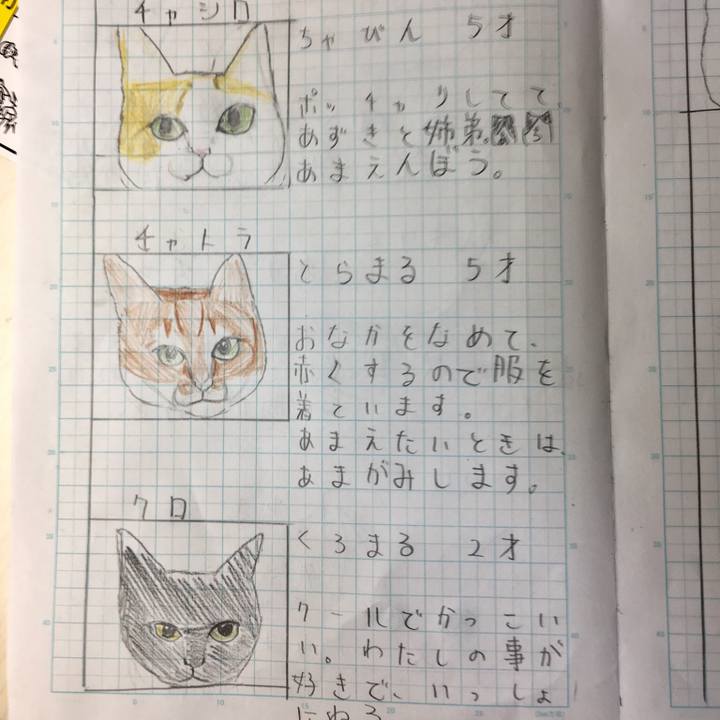 E7e45a3c 68f2 487b 8e9a b844fce1f329 1517150835647