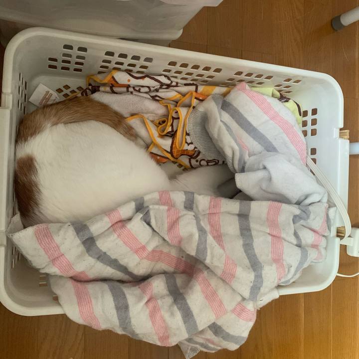 E7e45d8a 40a2 4a0a ab1c 566de3d2582c 1593848215239