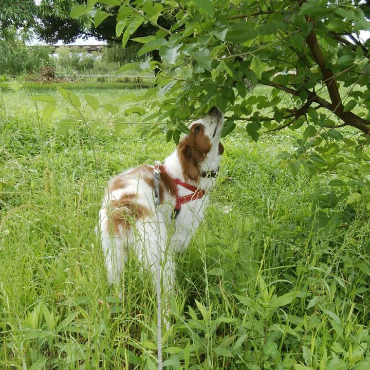 E7e47345 9010 44b6 b5c9 d63a02f5f8e4 1529754414054