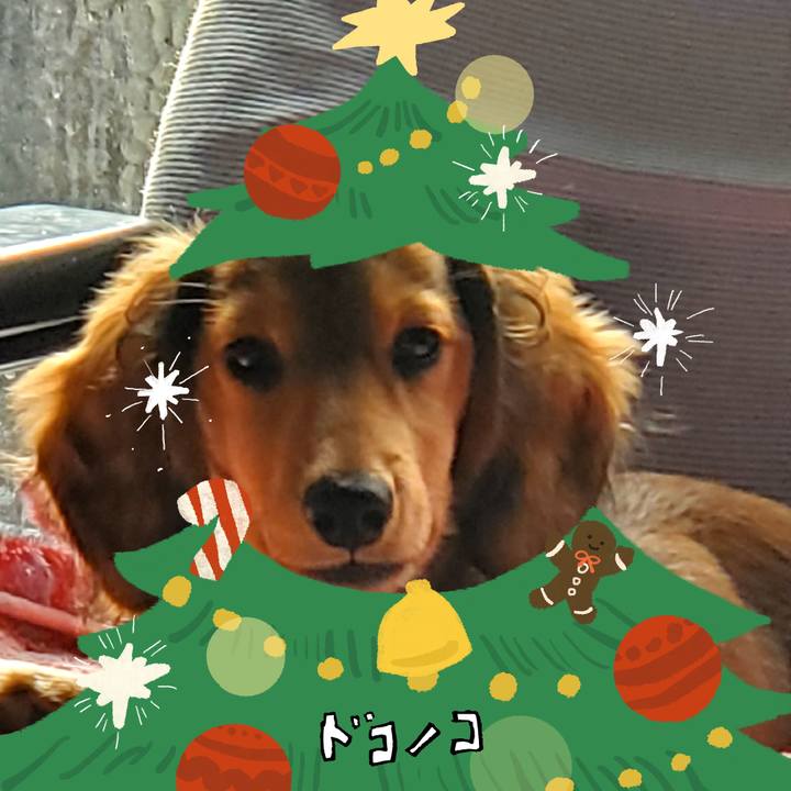 E7e496e1 de9a 4cb6 930d 1ba19c825d9f 1764205660013