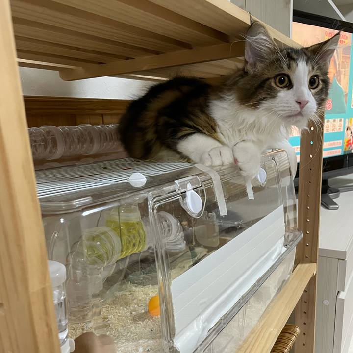 E7e4ee62 8a46 4ff9 b971 d0ab87a080b8 1636402366115