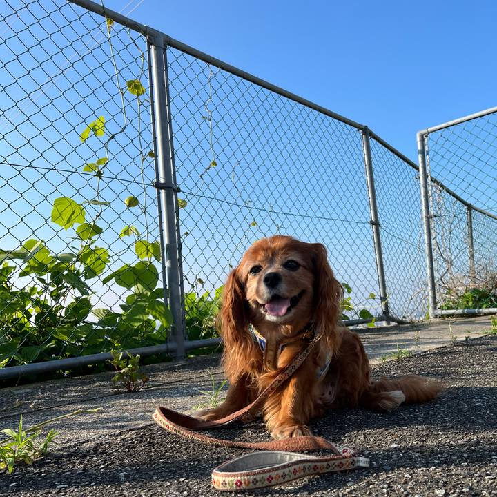 E7e4f4fc 11e6 48cd 95e6 dab952214200 1751071042287