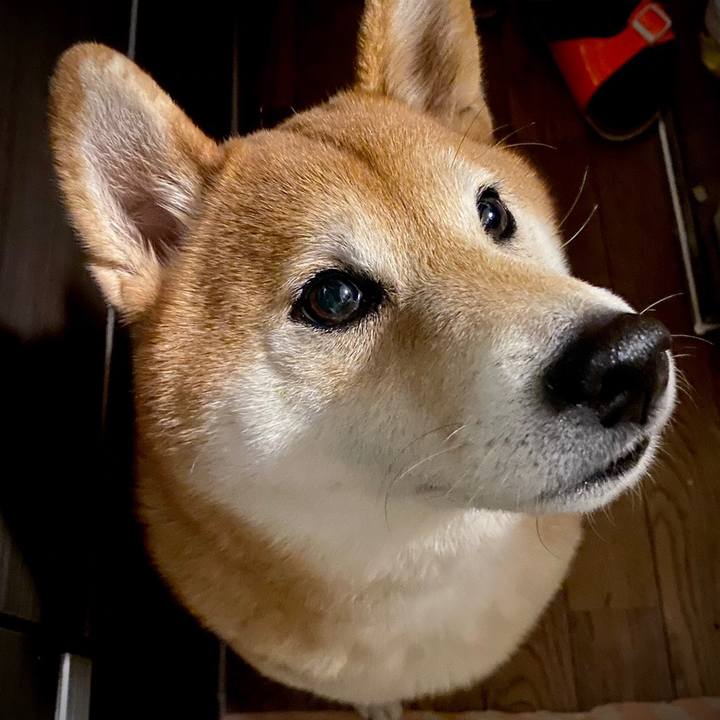 E7e53a77 9d14 4272 a440 ed8186dbe2cf 1608419041017