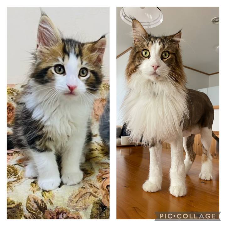 E7e548a7 f0eb 4ac5 a0cd fe0998b66348 1687961938477