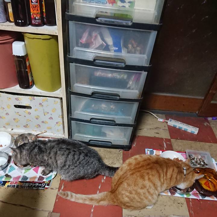 E7e54f6b 6892 4c03 9d81 30eb57eb8d9d 1588675043332