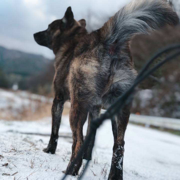 E7e5a933 bd12 41c3 a6c5 5a0060e65543 1514417523521