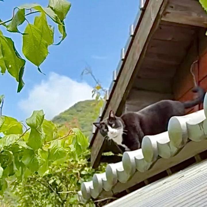 E7e5de5d f621 4230 9baa 961ba8ec6fa6 1748590990709