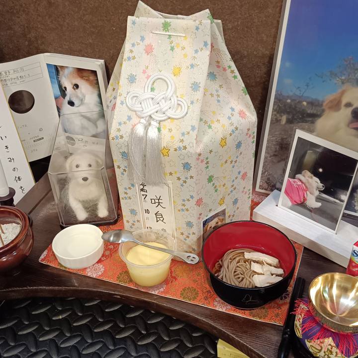 E7e5eeb5 ace0 4760 abc1 7db3113a6e80 1760605755327