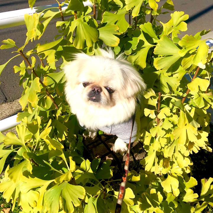 E7e6082b 48fb 483c 883a 168b5402a071 1608904664142