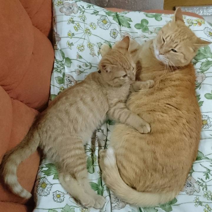 E7e60aad fd3a 4f17 80d2 63d68683c6d7 1542595007371