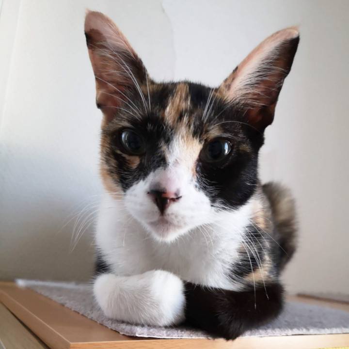 E7e63481 fe2c 47c8 9616 01fd59f02f5d 1599019063160