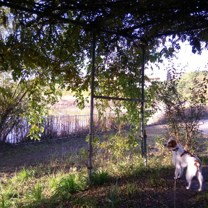 E7e650ea 26cd 4c43 93d5 47e23996f22b 1511570030841