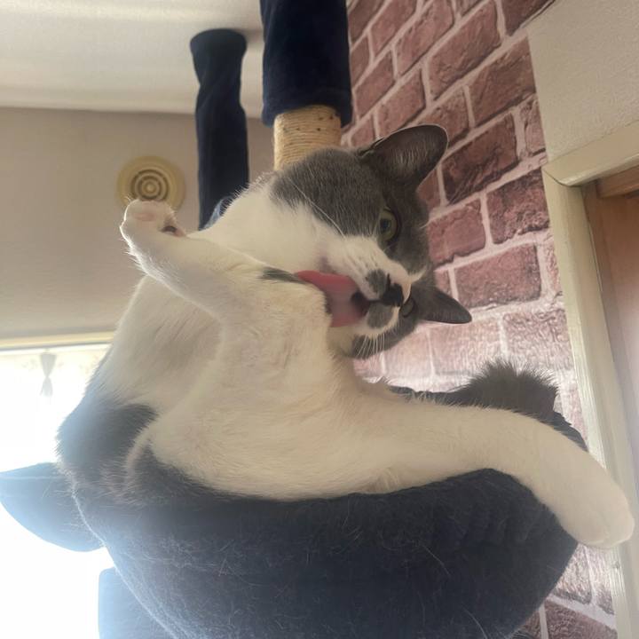 E7e6643f ffc7 4be0 9055 a3922e02f153 1681002775865