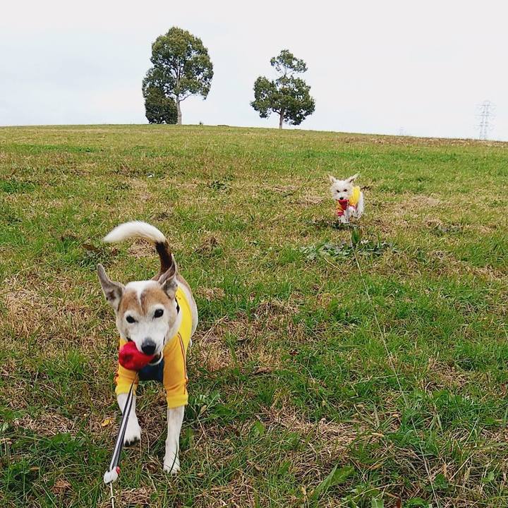 E7e68a40 c4d2 4d6a 99a1 c31d2c5efb5f 1575786514370