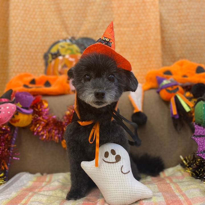 E7e6991d 5b5f 4f4c 90e1 f1868f859267 1696643290682