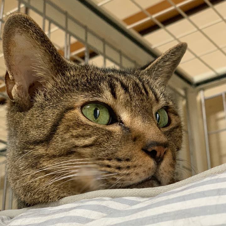 E7e6ae11 e081 4d7a aba9 69c05d2c4cea 1538356813587