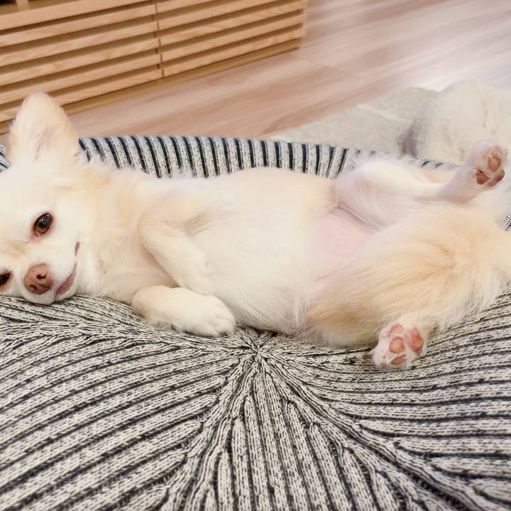 E7e6e399 f79c 45d3 97db 0c69c2f0c524 1721222635847