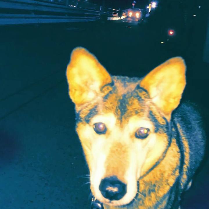 E7e702b8 fdc0 4db2 a778 9969d23cd88d 1511463515452