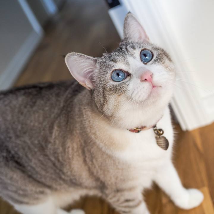 E7e70f51 780c 4fb5 bfd7 9601ddb79b88 1633149814021