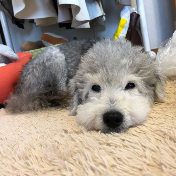 E7e71a83 0c56 43e0 a435 51bcf79a17ab 1560812768644