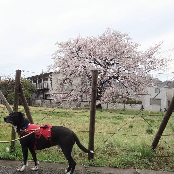 E7e72478 27d8 45f9 8f2a b21fcefb67c8 1679622151112