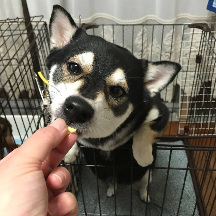 E7e74c57 ae64 4e96 98b5 266c7009369f 1509710133349