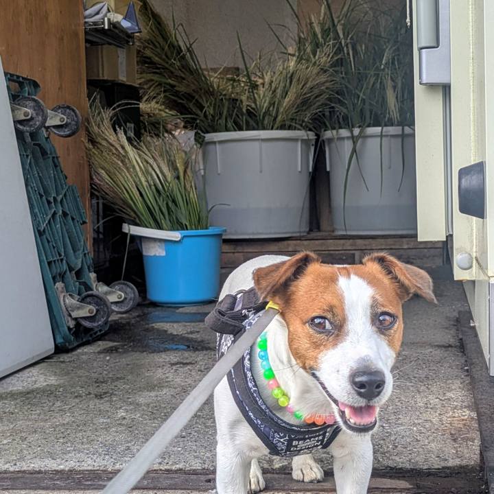 E7e74dc0 61b9 4fb7 8e51 fd696225f480 1759631328246