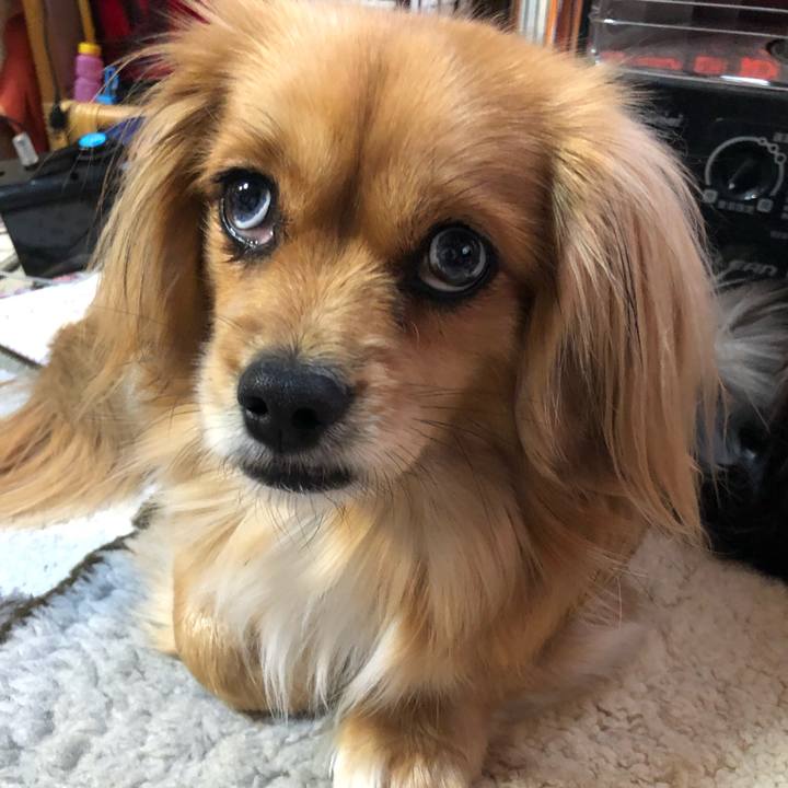 E7e75b34 ee5c 4c8b 98a5 75f658f51427 1551219142381