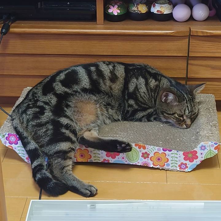 E7e790d6 a46c 4000 90a2 cf6ef5bde72c 1663466295911