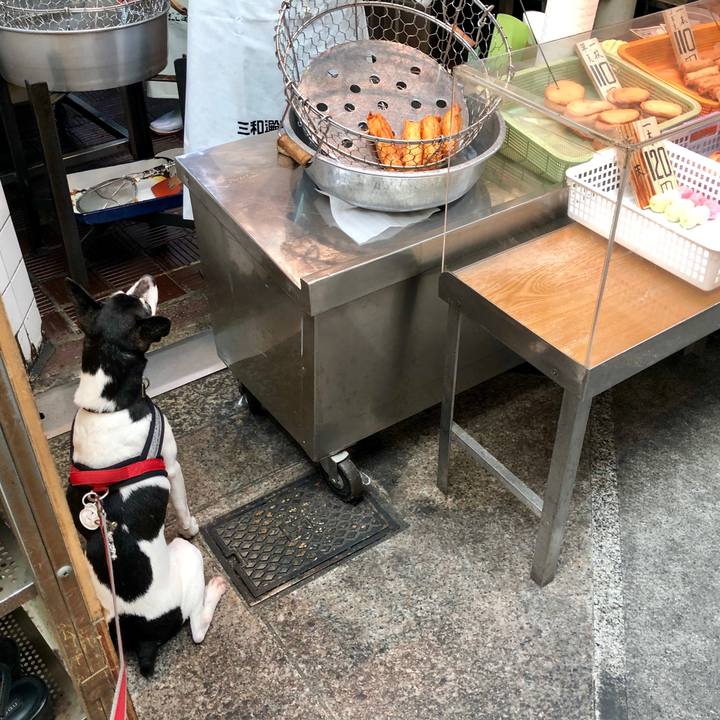 E7e7bdcc 1cdb 41eb a22e 7ba1d116cd08 1561780393437