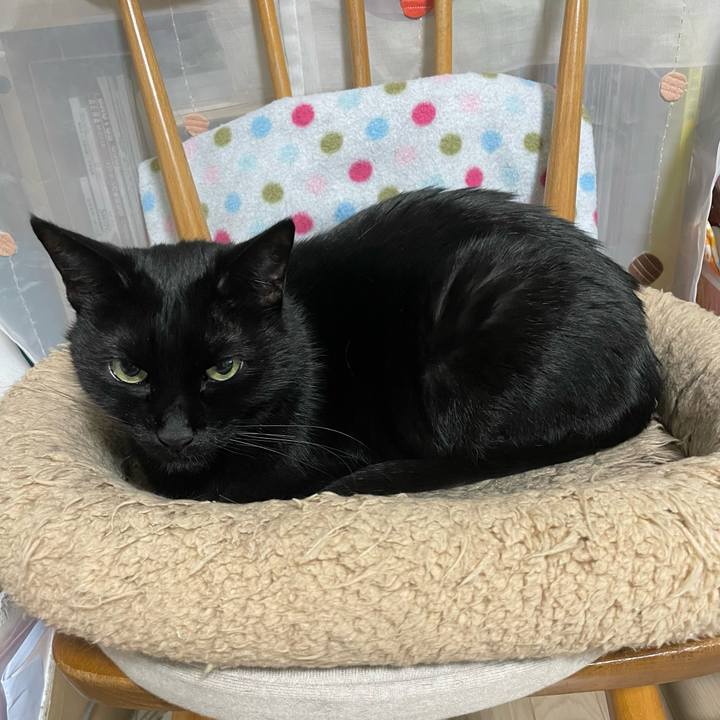 E7e827c6 1734 47bf ba07 714c68461795 1743328215000