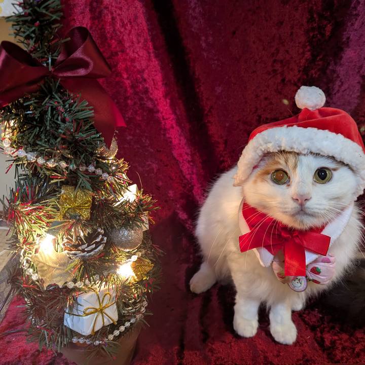 E7e843fe 2635 431d a0b0 77a16f7e430c 1763167548898