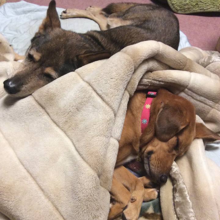 E7e844cd 76e7 42ed 9fac 675a3d983732 1573635274772