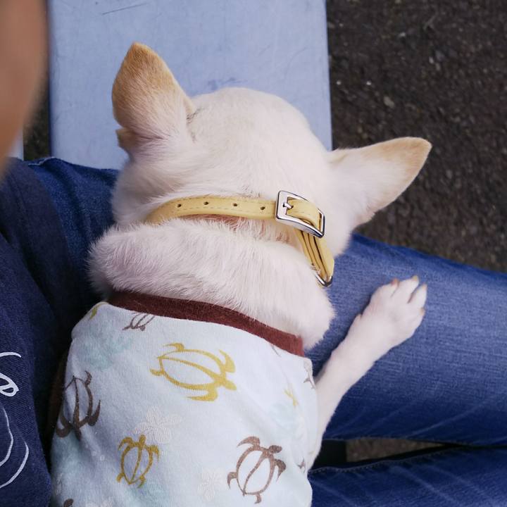 E7e844d1 c8fa 4c07 afa1 c80dea607da6 1531019997765