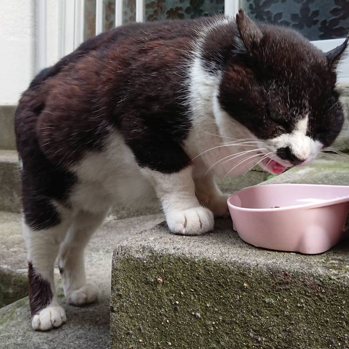 E7e8bbc9 10bc 46b3 864e 94dc3902fd6f 1684665993559