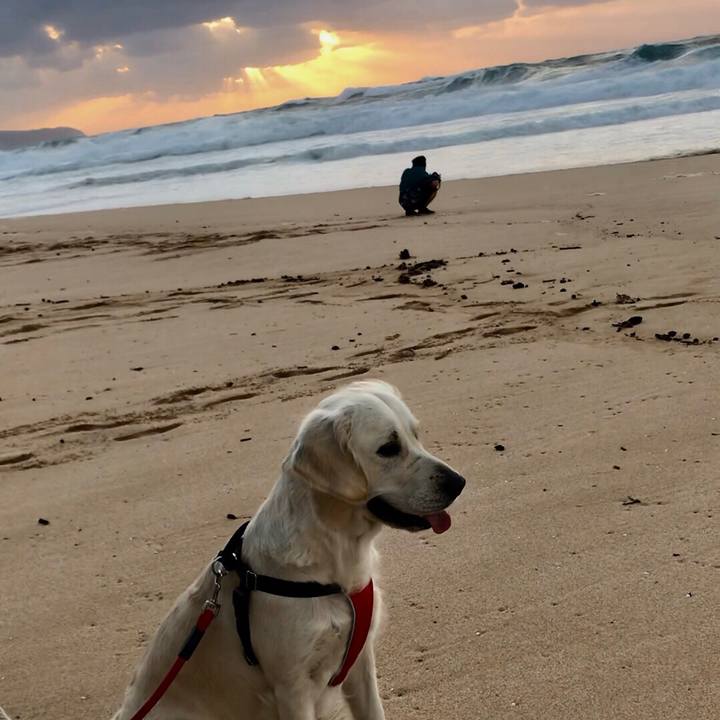 E7e8f113 f72a 44b0 8cc2 2193d2f5639e 1549870689498