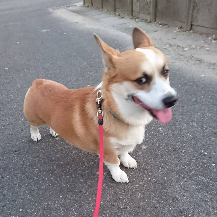 E7e901c6 64df 4fef a9be 8e7ab780e4b8 1607762729296