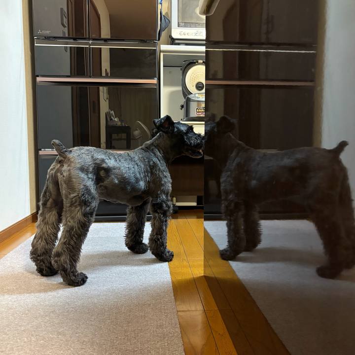 E7e90c7a 7384 468b a2f3 8b7151dfd125 1754861297303