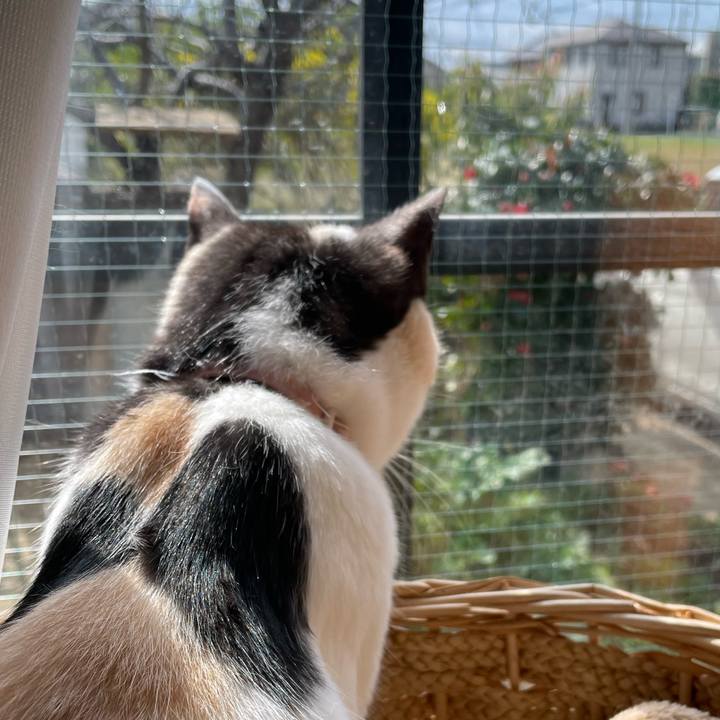 E7e91881 6c00 4f22 b960 81653f8a0f00 1743379474762