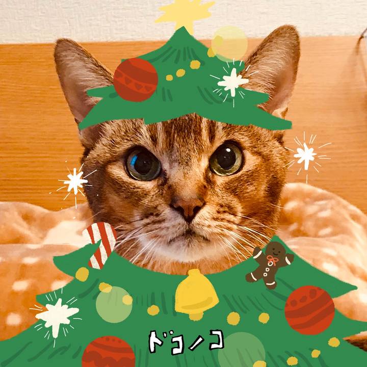 E7e92603 7bc6 42b3 9368 804d32af0a83 1761551569681