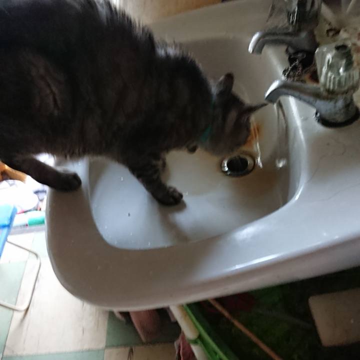 E7e92fb9 927c 416e aa98 368584d99d82 1569361678844