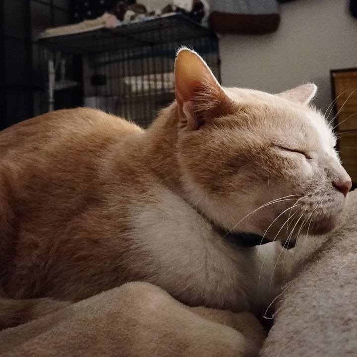 E7e9b948 74bf 47d3 846c e6e3bf33ab5d 1670503044283