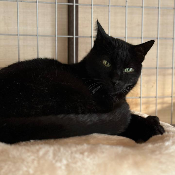 E7e9ea64 8c56 4af3 bf4a 5b35ec1c6f84 1678755332406