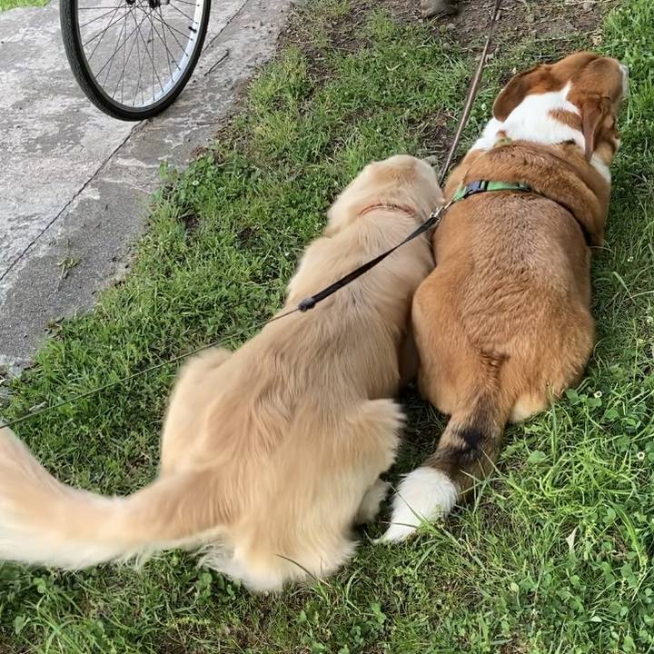 E7e9ea8b bea5 46b0 a815 1f990982214f 1715043583455